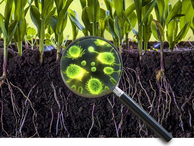 You'll need to focus deep to consider all the claims of the efficacy of biologicals. (Getty Images, Adobe Stock, Photo illustration by Barry Falkner, Adobe Firefly)
