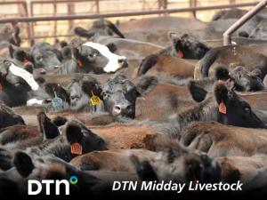Price Pressure Develops Wednesday