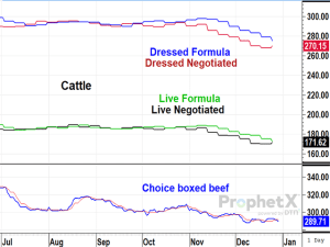 Cash Cattle Markets Show Signs of Demand Returning to Country