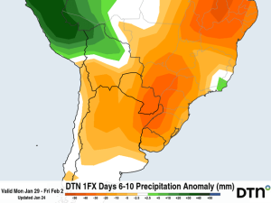 Can Argentina Maintain its Excellent Crop Conditions Going into February?