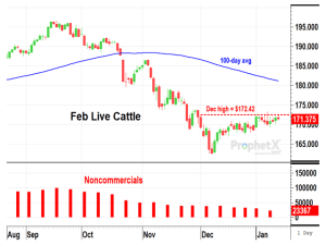 February Live Cattle Encounter Resistance in Stressful Week