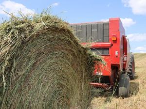 Extension Services Offers Advice in Testing for Nitrates in Forages