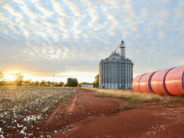 EPA is continuing a routine review of paraquat, a herbicide primarily used in cotton. (DTN file photo by Brent Warren)