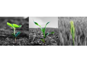 3 Types of Grain Market Reasoning: Correlation, Conditional, Comparative