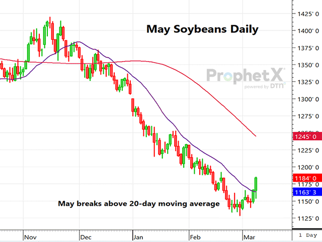 This is a daily chart of Chicago May soybeans, initially lower Friday before rallying sharply on bullish changes to China demand and likely disagreement with the lofty estimate of Brazil's soy production. (DTN ProphetX chart)