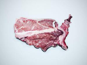 Country-of-Origin Labels, EQIP and Payment Limits Face Amendment Debates
