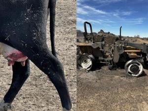Donations Needed as Farmers, Ranchers Recover From Wildfires, Worry About Weather Outlook
