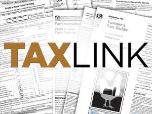 Follow Reporting Requirements to Prevent Problems Later