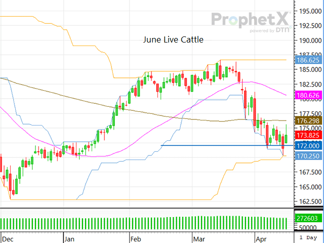 The live cattle market is hovering over its current support plane at $172, which continues to be a threshold to monitor as the market's close signals short-term direction. (DTN ProphetX chart)