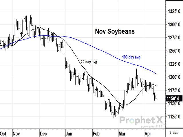 Back in November 2023, November 2024 soybean prices traded near $13 while Brazil's soybean crops were stressed by hot and dry weather. Since then, prices have fallen sharply and the crop estimates from USDA and Conab now disagree. At this late stage of harvest, do estimates matter? (DTN ProphetX chart)