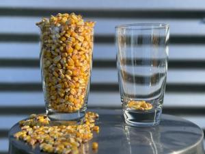 My Grain Marketing Manifesto: Either ‘Enough’ or ‘Not Enough’