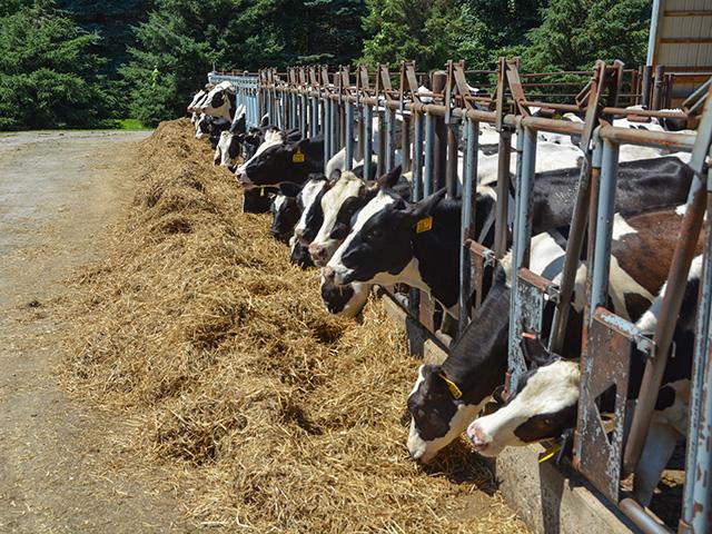 USDA is spending more funds to increase testing and monitoring for the H5N1 virus in dairy cows. Officials also are encouraging dairy farmers to voluntarily test their milk for the virus. The moves come as another dairy worker has tested positive for the virus as well. (DTN photo by Chris Clayton)