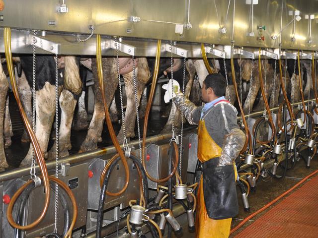 USDA will provide funds to provide personal protective gear for dairy workers affected by the H5N1 virus. USDA detailed some incentives to help reduce the risk of spreading the virus and gain cooperation from both dairy farms and workers to participate in CDC testing and studies. (DTN file photo by Urban Lehner)
