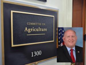 Farm Bill Directs USDA to Boost Sustainable Aviation Fuel, Study Solar Impacts