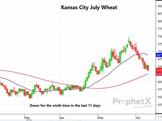 The is a daily chart of July KC wheat futures, down roughly 18 cents before the WASDE report Wednesday and trading down 17 3/4 cents by the close on rising winter wheat production. The report was a non-mover for corn and soybean markets. (DTN ProphetX chart)
