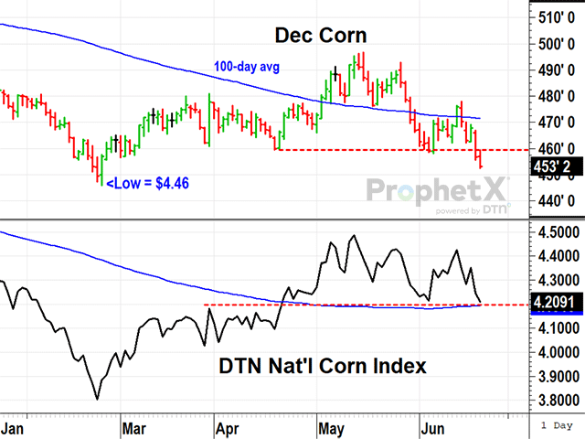 Managed futures funds are heavily net short corn and took the December contract to a new three-month low Friday, June 21. DTN's national index of cash corn prices, however, has not broken below support yet, a more sober reflection of this year's production hurdles and active demand (DTN ProphetX chart).
