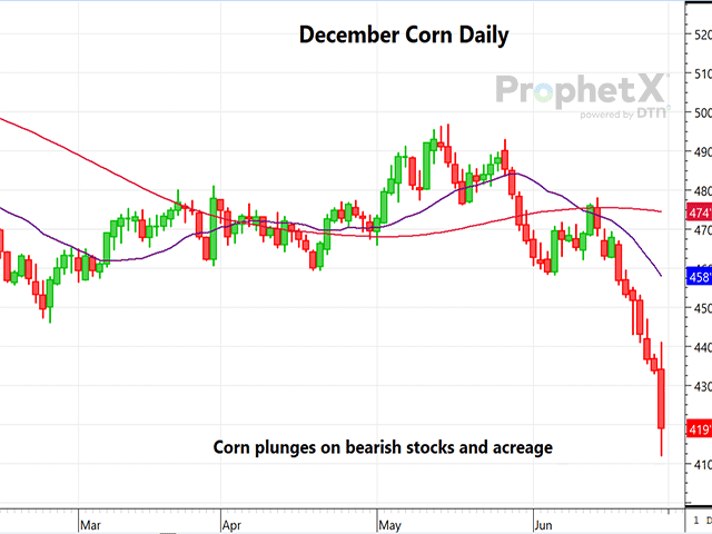 Following the release of USDA's June 2024 Grain Stocks and Acreage reports, new-crop December corn plummeted to a new contract low on higher stocks and seedings than expected but recovered a bit late. (DTN ProphetX chart)