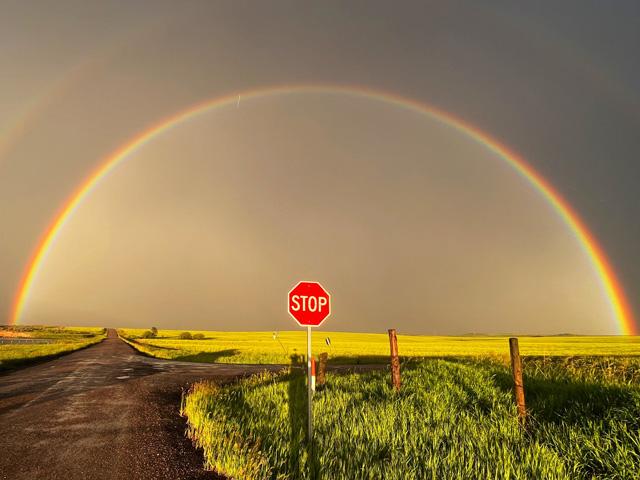 Somewhere over, around and under the rainbow, Dan Lakey's Idaho crops are fighting to make a comeback after a killing frost the week of June 17. (Photo courtesy of Dan Lakey)