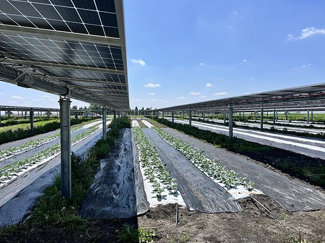 A 10-acre solar farm at Iowa State University is a partnership between the university and Alliant Energy to develop more agrivoltaics projects that allow fruits and vegetables to grow between rotating solar panels. (DTN photo by Chris Clayton)