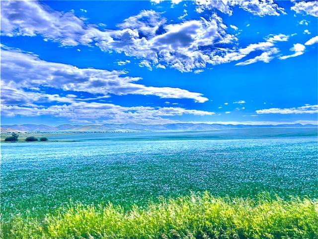 This Idaho flax field may look like a painting, but Dan Lakey is trying not to look too hard at Mother Nature's brush strokes this season. Weather has taken a toll on many of his crops. (DTN photo courtesy of Dan Lakey)