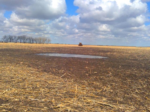 A federal appeals court will rehear the case of South Dakota farmer Arlen Foster, who contends he deserves a review of the USDA's determination that a 0.8-acre tract of land contains a wetland. (Photo courtesy of the Pacific Legal Foundation)