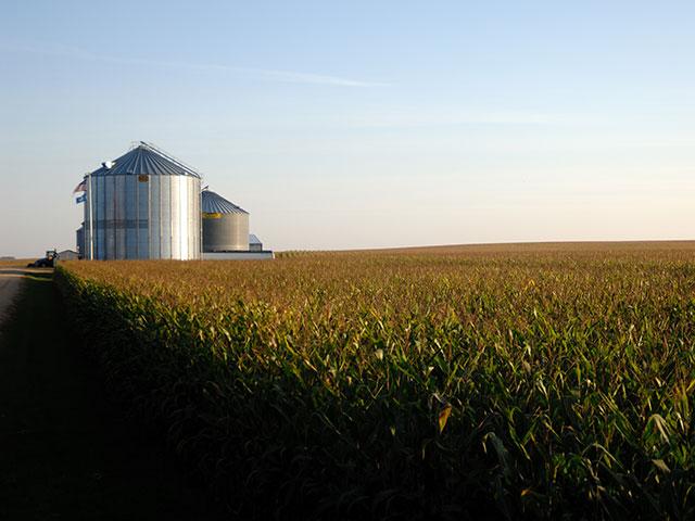 A Michigan farmer asked a federal court to dismiss wire and mail fraud charges against him. (DTN file photo by Jim Patrico)