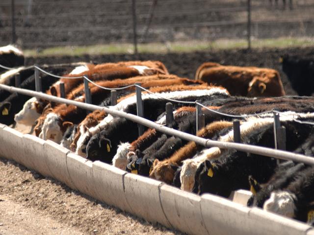 A recent Supreme Court decision has the potential to open the door for more environmental lawsuits. (DTN file photo by Jim Patrico)