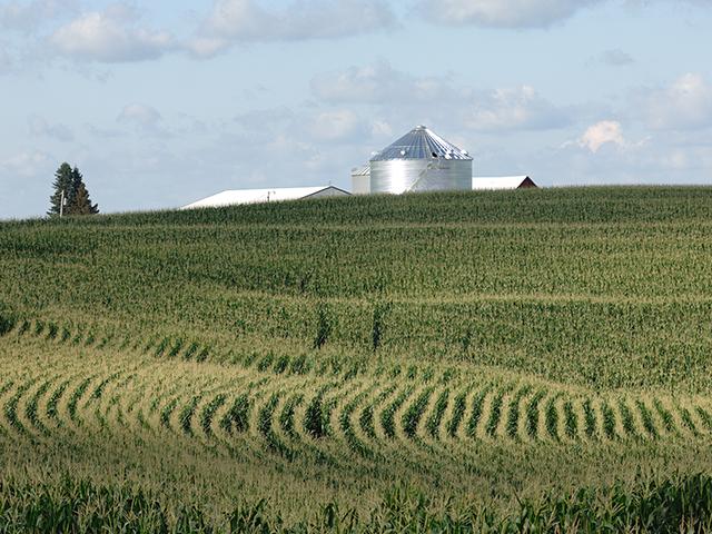 A group of eight scientists have intervened in a federal lawsuit on the Renewable Fuel Standard that brings into question the land-use effects of the law. (DTN file photo by Jim Patrico)