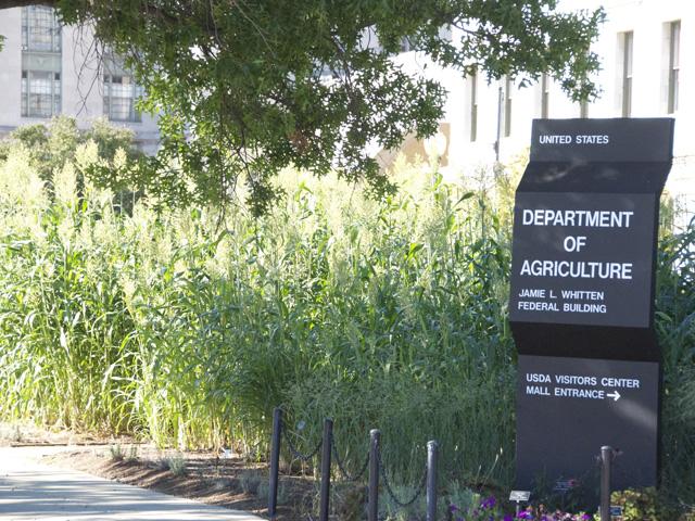 USDA released its July Crop Production and WASDE reports on Friday. (DTN file photo by Nick Scalise)