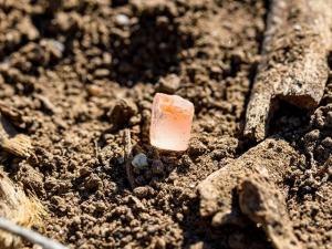 AFBF Survey: American Famers Affected by Fertilizer Availability, Rising Price