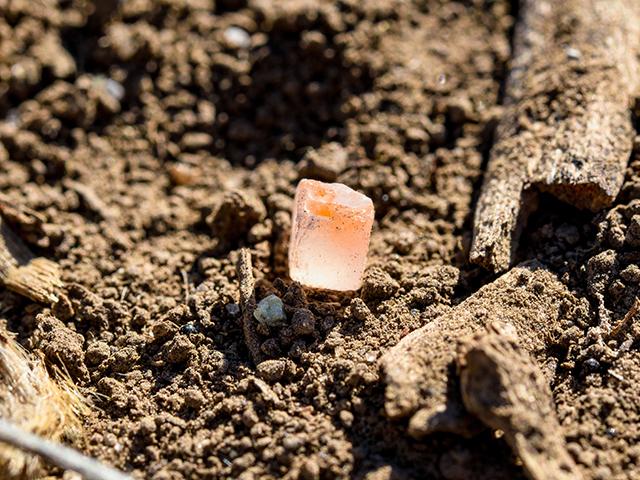 According to a recent American Farm Bureau Federation (AFBF) survey, U.S. farmers are seeing negative effects from rising input costs. Specifically, fertilizer availability and rising prices are affecting farmers' bottom lines. (DTN file photo)