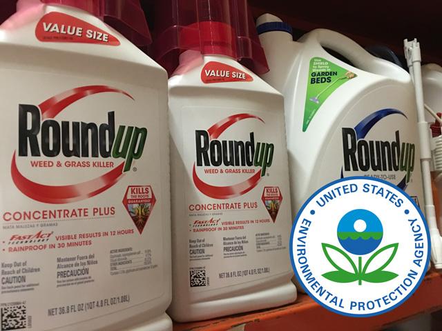 The U.S. Supreme Court heard oral arguments on Monday in a case that could clarify EPA's authority over pesticides and put an end to more than a decade of Roundup cancer lawsuits. (DTN file photo)