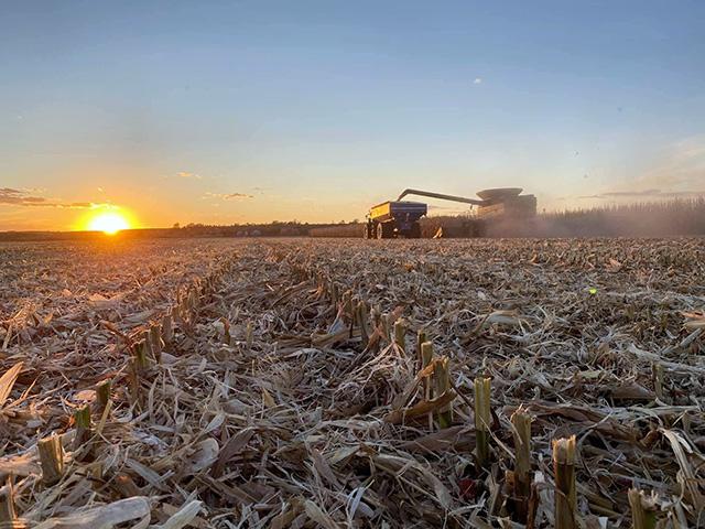 A federal appeals court ruled that a lower court was correct in setting restitution at $5.1 million in the case of a Nebraska farmer who pleaded guilty to bank fraud. (DTN file photo)