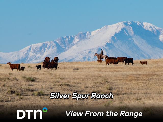 Pasture ground is closely managed at Silver Spur Ranch Kiowa Creek Division so it can be grazed several months each year. (DTN/Progressive Farmer photo by Joel Reichenberger)