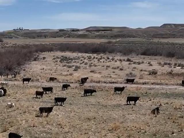 A federal court dismissed a Clean Water Act lawsuit against Ace Black Ranches in Idaho but will allow the U.S. Environmental Protection Agency to file an amended complaint. (Screenshot with permission from Idaho Farm Bureau)