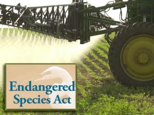 Court Strikes Down Insecticide Malathion Biological Opinion, Cites Endangered Species Risk