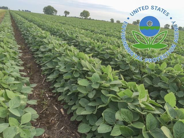 The U.S. Environmental Protection Agency awarded millions in federal funding to study the effects of forever chemicals on agriculture. (DTN file photo by Pam Smith)