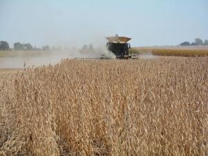 China Soybean Users See Breakthrough for US Imports, FAS Beijing Staff Says