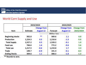 What’s Next for World Corn Prices Following September USDA Reports?