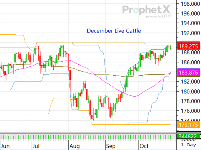 The cattle market's attitude remains incredibly strong with supportive fundamentals helping drive the complex higher. (DTN ProphetX Chart)