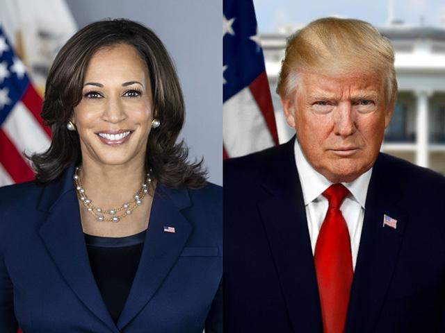 Vice President Kamala Harris and former President Donald Trump recently answered questions posed by the American Farm Bureau Federation on a variety of issues that affect farmers and ranchers. (DTN file photo)