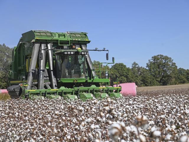 A group of federal lawmakers asked the U.S. Environmental Protection Agency to ban the herbicide paraquat. (DTN file photo)