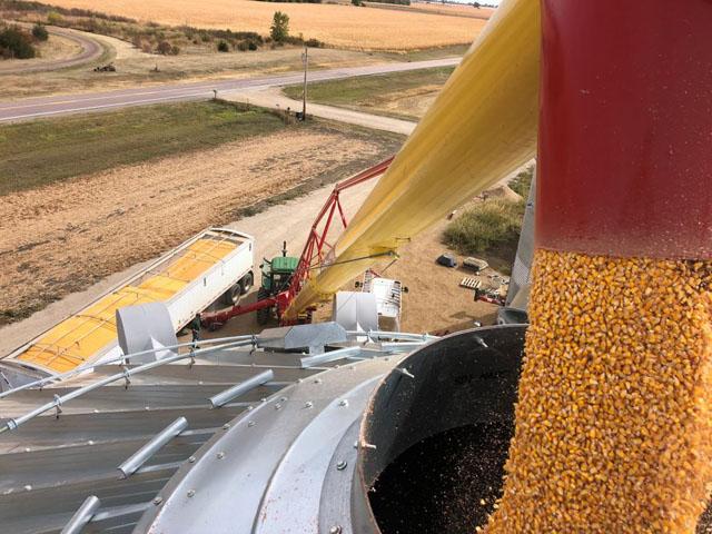 MFA Inc. was fined nearly $242,000 for failing to follow federal safety rules in connection with the grain-engulfment death of an employee at a facility in Hamilton, Missouri. (DTN file photo)