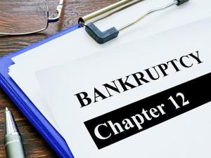 Chapter 12 Bankruptcy Can Be a Lifeline for Struggling Farms