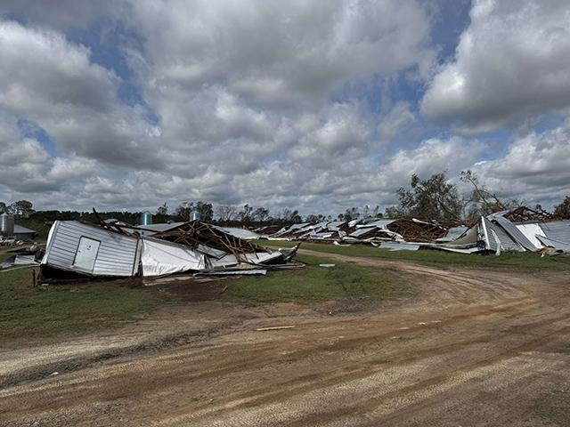 Damaged poultry barns in Coffee County, Georgia, after Hurricane Helene came crashing through in late September. On Monday, President Joe Biden called on Congress to pass nearly $100 billion in disaster aid, primarily due to damages caused by Hurricanes Helene and Milton this fall. (Photo courtesy of the Georgia Farm Bureau)