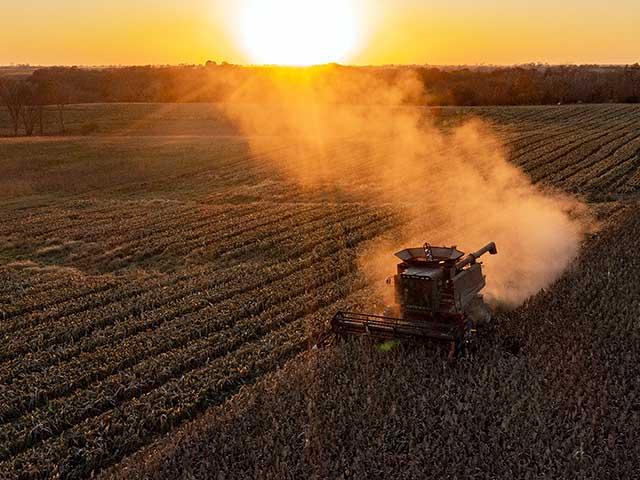 A federal court ruled a Michigan farm will not receive payment for unpaid crop insurance claims from 2019 as a federal investigation into the farm continues. (DTN file photo by Jason Jenkins)