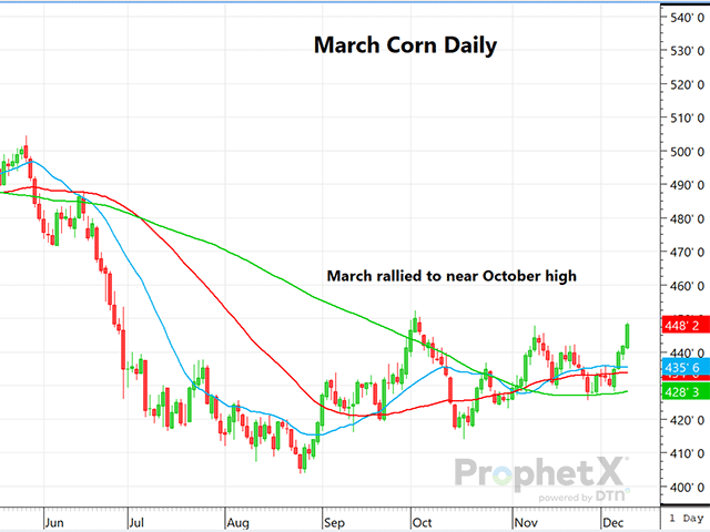 The daily chart for March corn shows the strong reaction to better-than-expected corn usage. (DTN ProphetX chart)