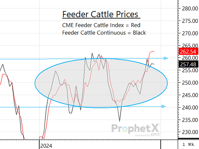 Throughout this past year, except for a little time in January, the CME Feeder Cattle Index traded in a tight trading window of $240 to $262. (DTN ProphetX chart)