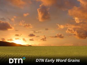 Grain Markets Higher as Both Soybeans, Brazilian Real Try to Correct Steep Losses