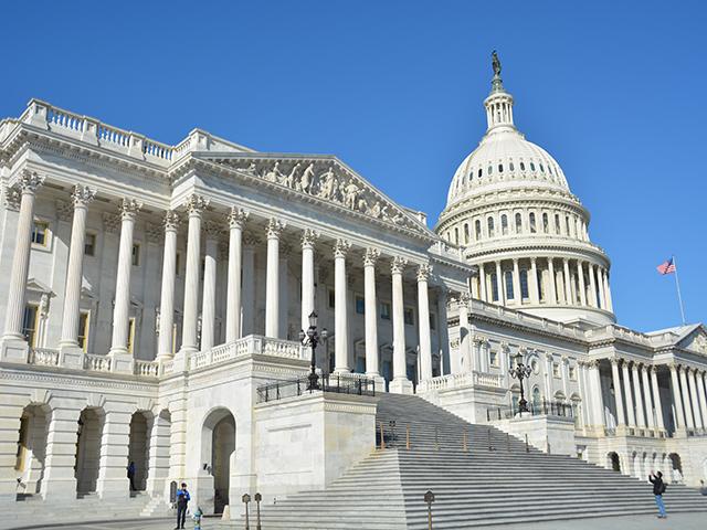 A statement Saturday from top Republicans for agriculture in Congress said Democratic leaders had rejected the latest proposal for an economic aid package for farmers. The two parties have been unable to reach terms on a deal as time is running out for lawmakers to act. (DTN file photo)